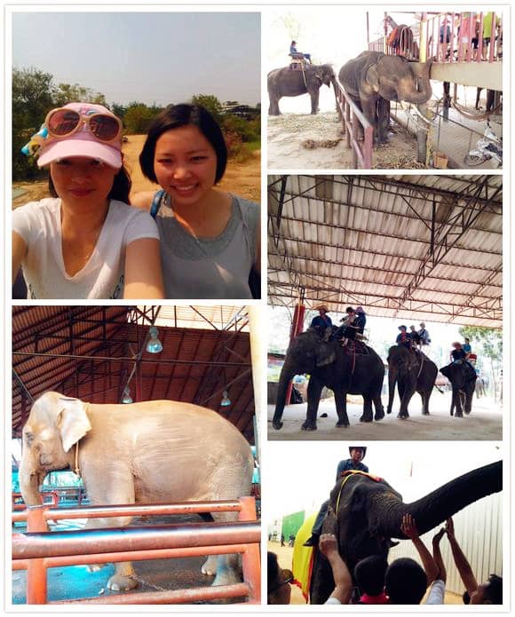 1467191776291419.jpg 1.jpg