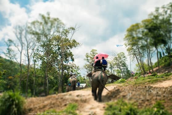 1467191799723542.jpg 1.jpg